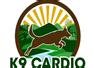 K9 Cardio Southampton