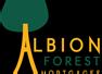 Albion Forest Southampton