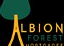 Albion Forest