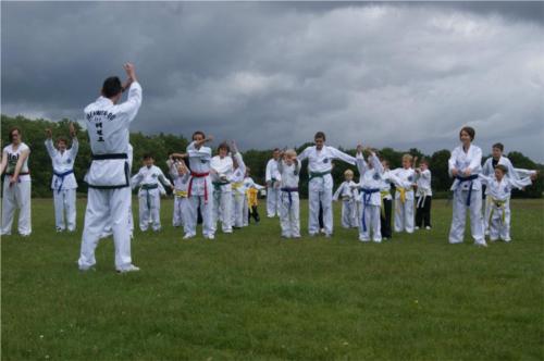 Taekwondo South Schools Southampton